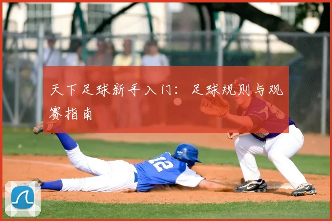 天下足球新手入门:足球规则与观赛指南