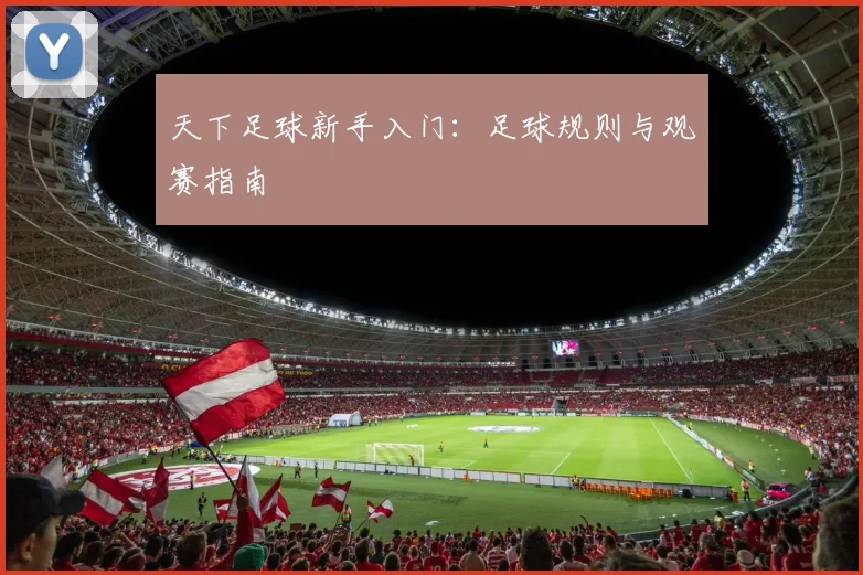 天下足球新手入门:足球规则与观赛指南